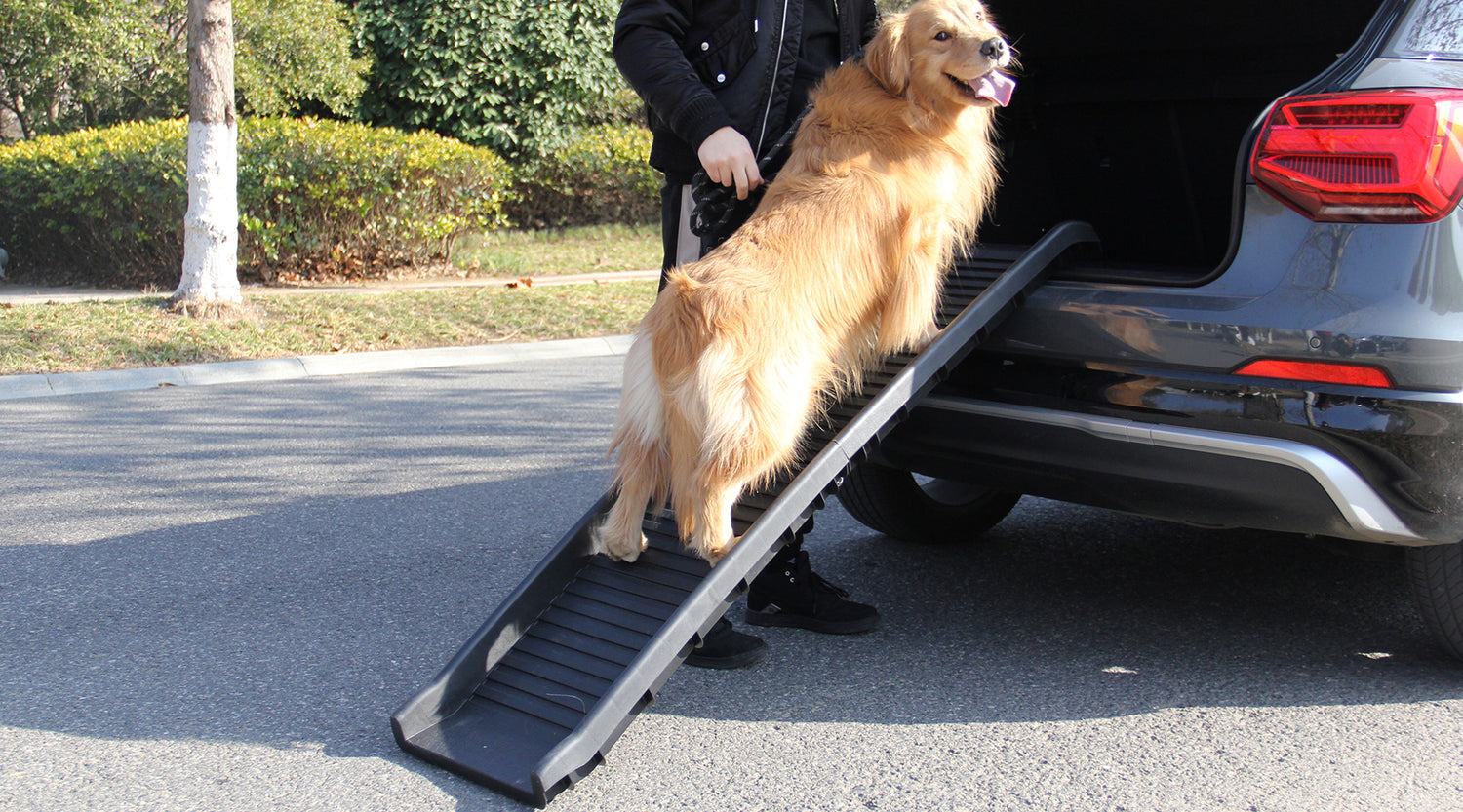 犬用スロープ