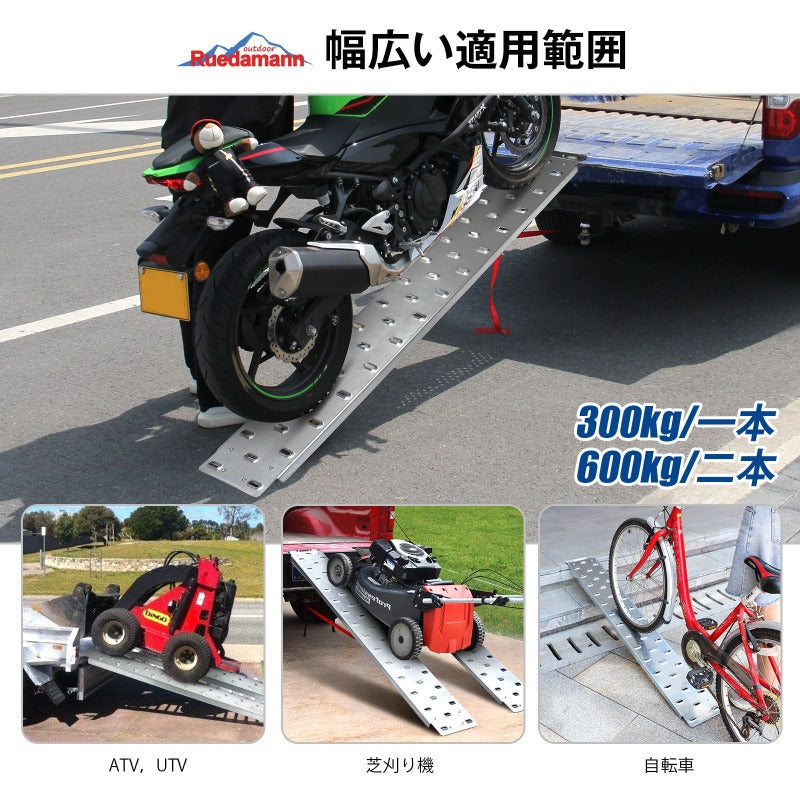 Ruedamann®スチール製ラダーレール耐荷重600kg/セット 二本セット